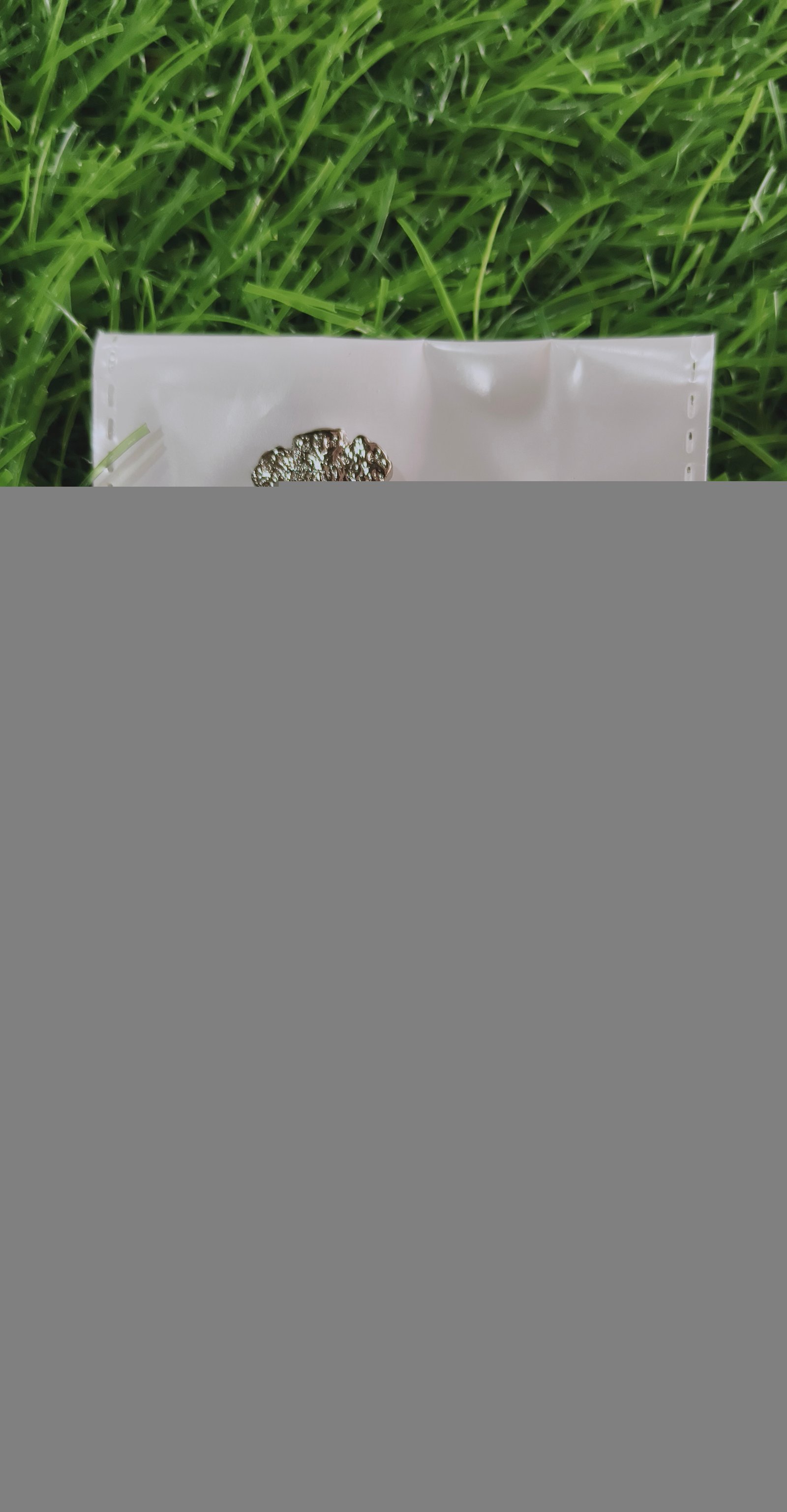CAP BADGE 
